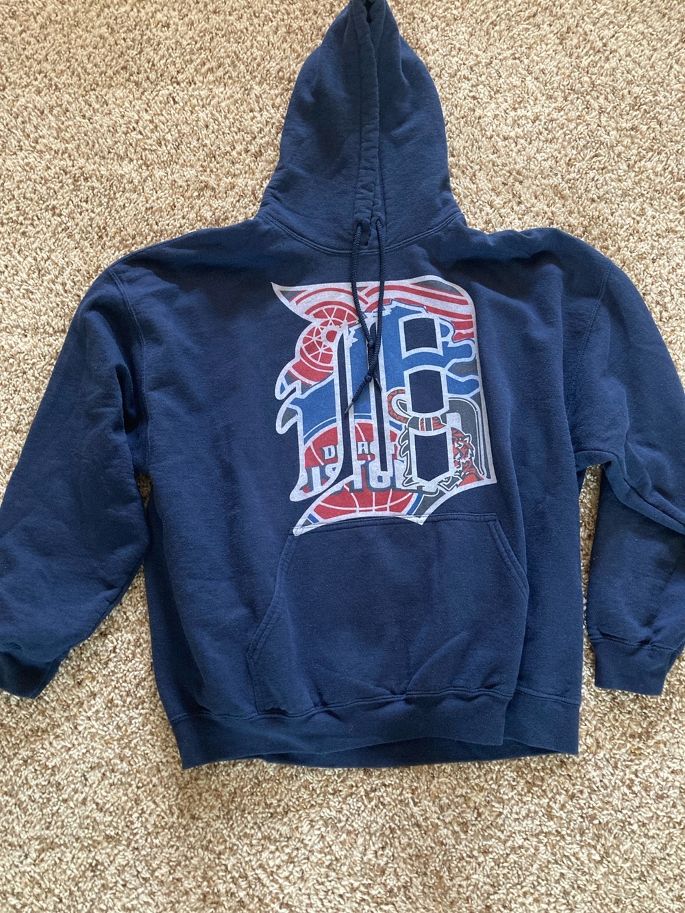Detroit Sports Gildan Navy Hoodie with Red & White Graphic